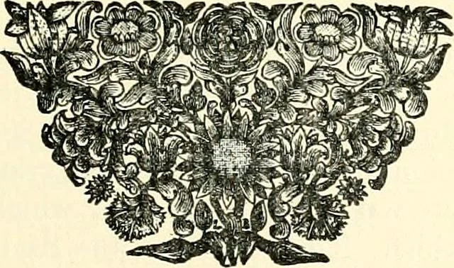 An illustration from The German sectarians of Pennsylvania : a critical and legendary history of the Ephrata Cloister and the Dunkers, 1899, leaf 339