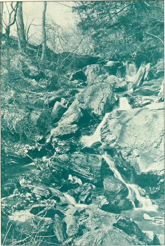 An illustration from The German sectarians of Pennsylvania : a critical and legendary history of the Ephrata Cloister and the Dunkers, 1899, leaf 373