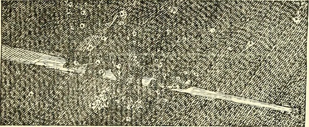 An illustration from The German sectarians of Pennsylvania : a critical and legendary history of the Ephrata Cloister and the Dunkers, 1899, leaf 126