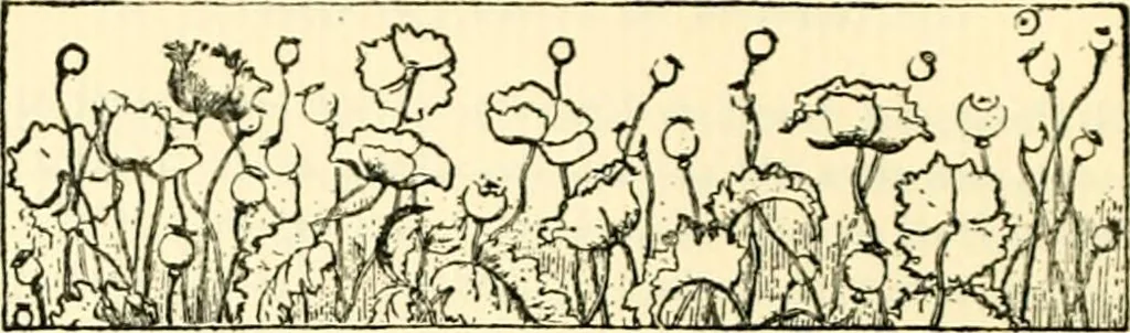 An illustration from The German sectarians of Pennsylvania : a critical and legendary history of the Ephrata Cloister and the Dunkers, 1899, leaf 349