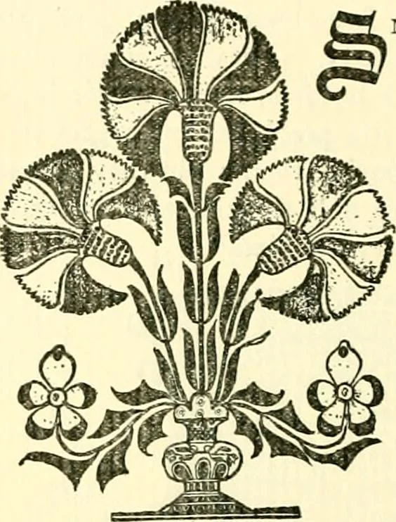 An illustration from The German sectarians of Pennsylvania : a critical and legendary history of the Ephrata Cloister and the Dunkers, 1899, leaf 469