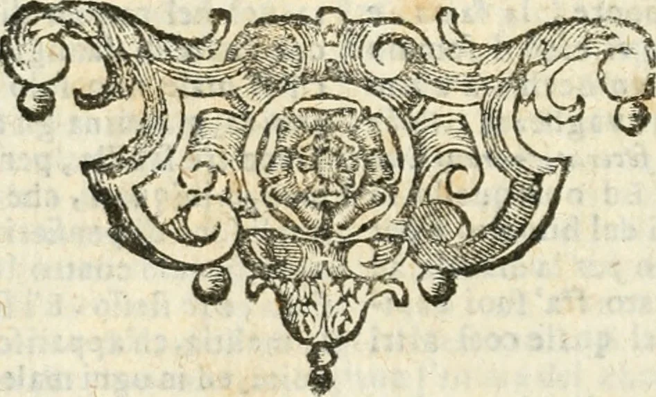 An illustration from Geroglifici morali, 1626, leaf 299
