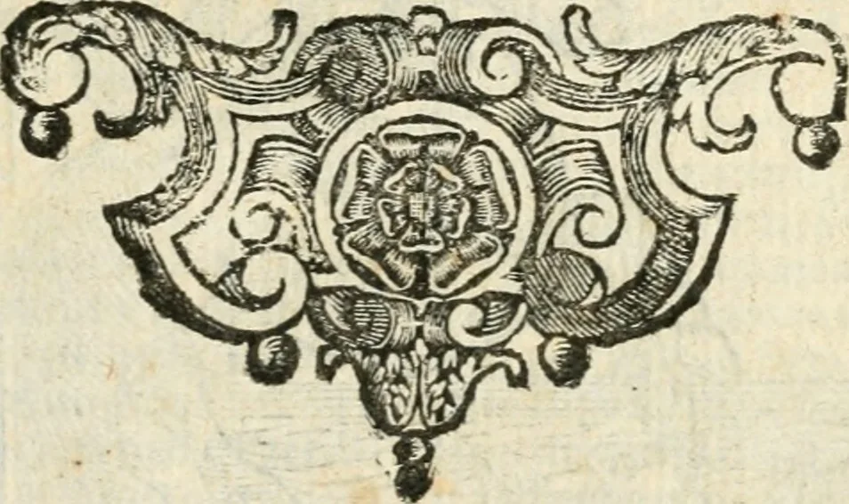 An illustration from Geroglifici morali, 1626, leaf 456