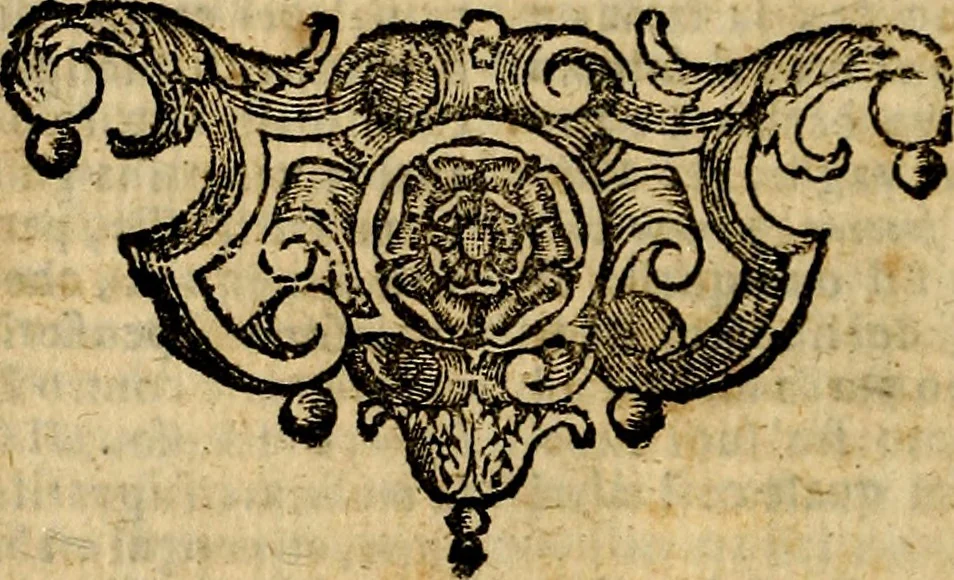 An illustration from Geroglifici morali, 1626, leaf 299