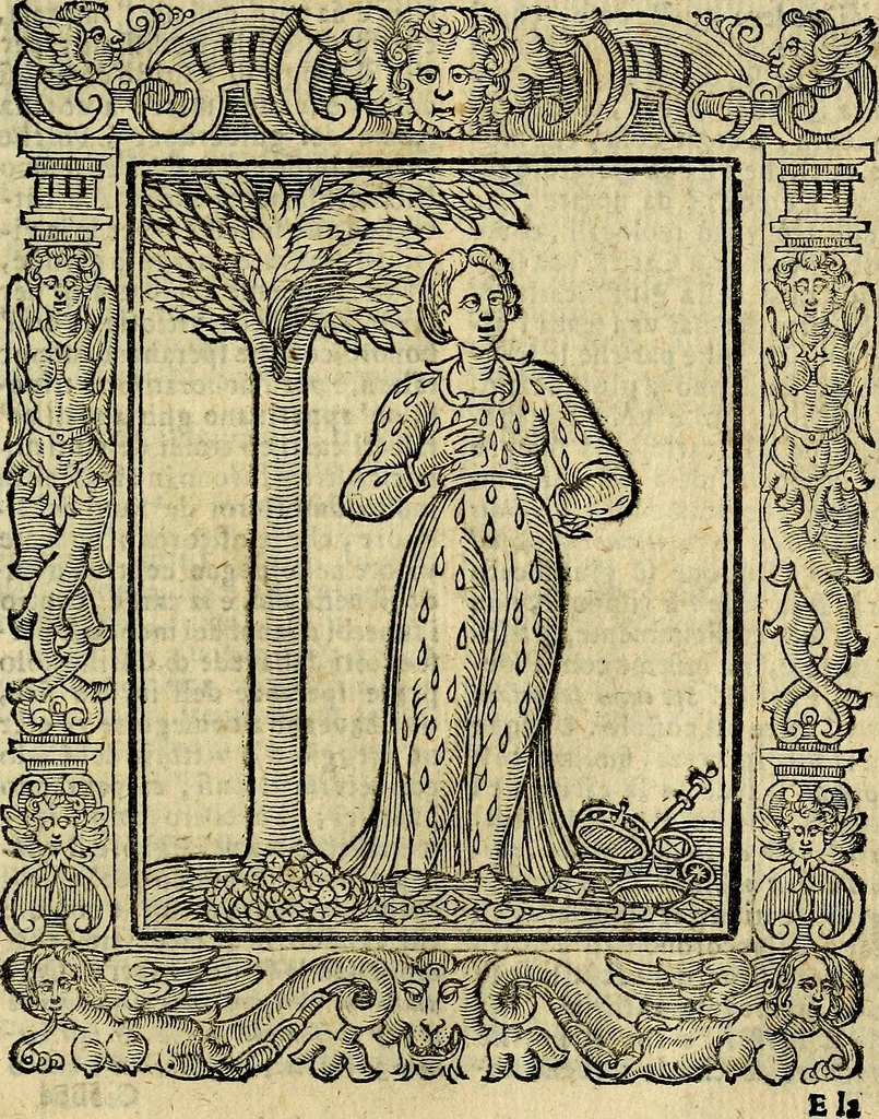 An illustration from Geroglifici morali, 1626, leaf 472