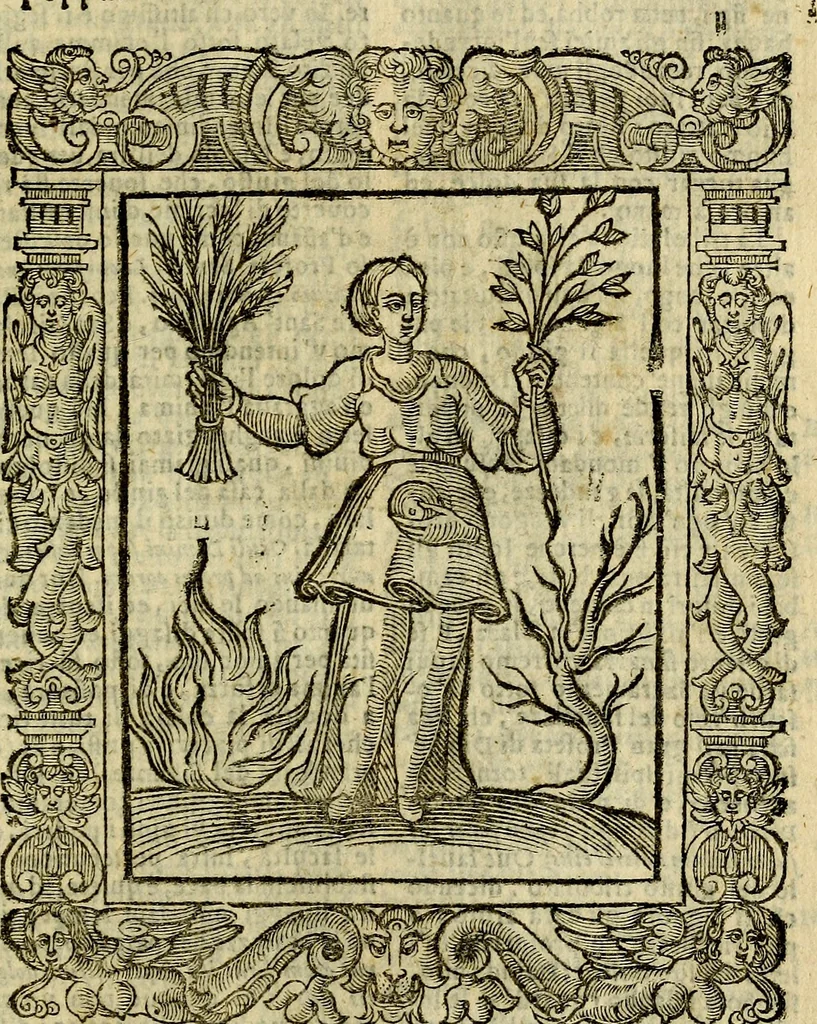 An illustration from Geroglifici morali, 1626, leaf 496