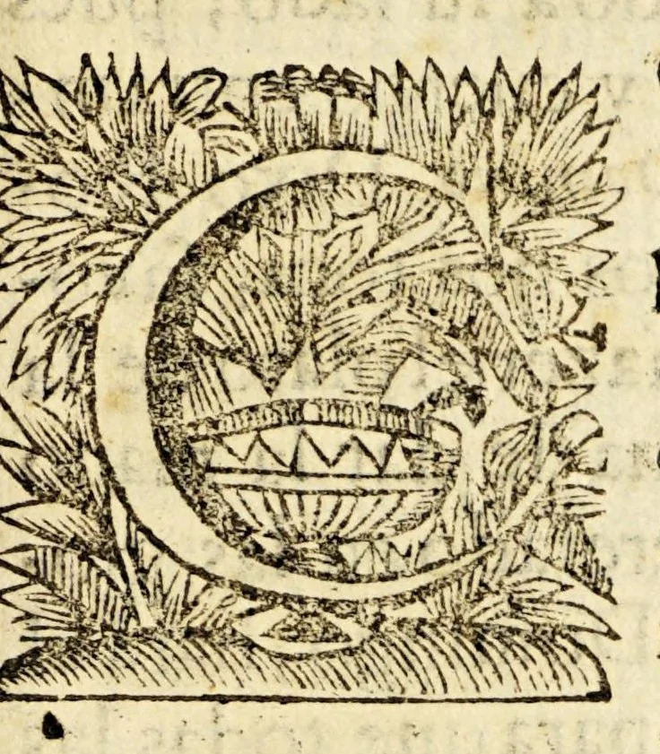 An illustration from Geroglifico sagrado de la amistad mas verdadera, y vivo traslado de la divina, y celestial en los gloriosos patriarchas Sancto Domingo, y S. Francisco,, 1692, leaf 15