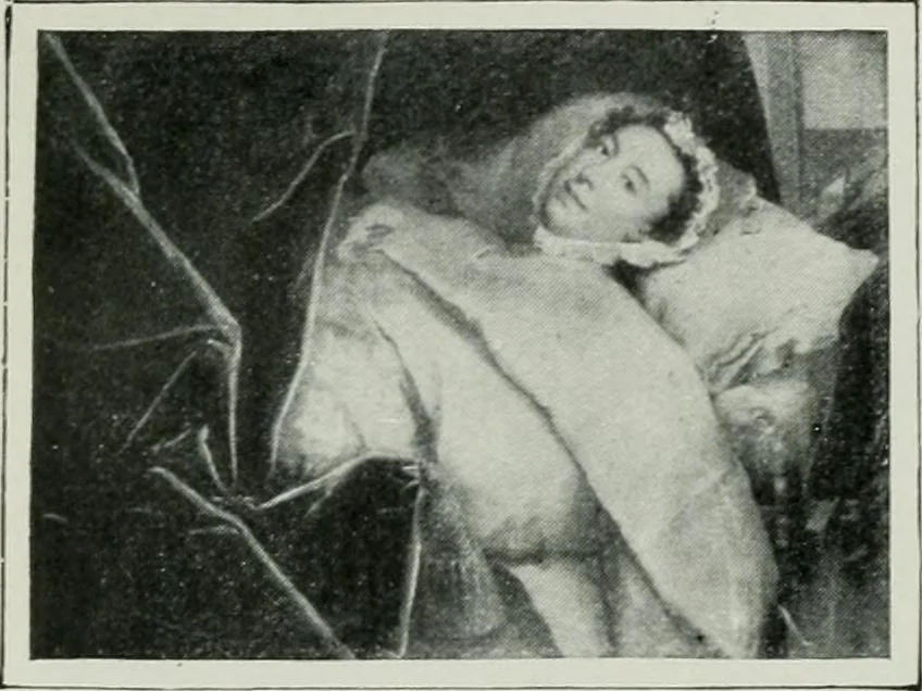 An illustration from Geschichte der Kunst in Grossbritannien und Irland, 1909, leaf 246