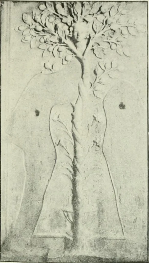 An illustration from Geschichte des florentinischen Grabmals von den ältesten Zeiten bis Michelangelo, 1904, leaf 310
