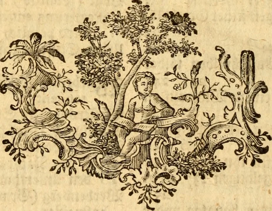 An illustration from Geschichte des Herzogthums Würtenberg unter der Regierung der Herzogen, 1764, leaf 563