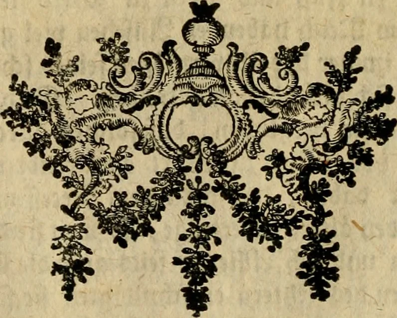 An illustration from Geschichte des Herzogthums Würtenberg unter der Regierung der Herzogen, 1764, leaf 267