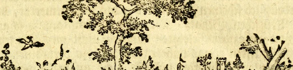 An illustration from Geschichte des Herzogthums Würtenberg unter der Regierung der Herzogen, 1764, leaf 8