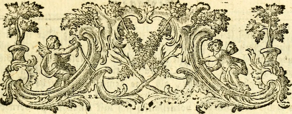 An illustration from Geschichte des Herzogthums Würtenberg unter der Regierung der Herzogen, 1764, leaf 302