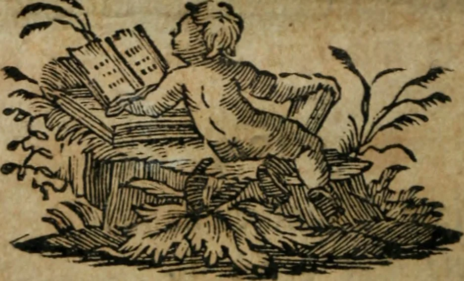 An illustration from Geschichte des Lebens, der Marter, und der Wunderwerke des heiligen Johannes v. Nepomuck Domherrn zu Prag, 1700, leaf 483