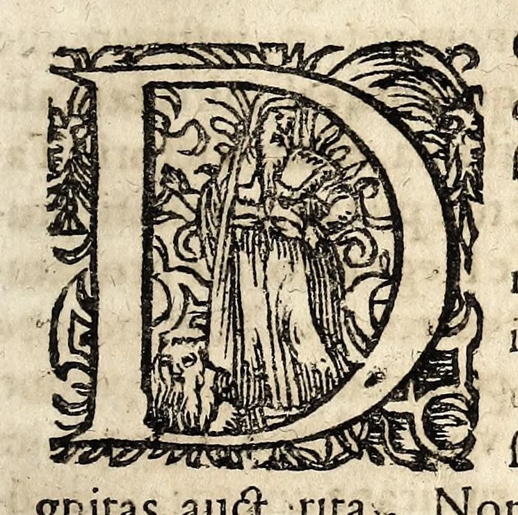 An illustration from G.G.R. Theologi ad Ludovicum decimumtertium ... Admonitio fidelissime, humillime, verissime facta, et ex Gallico in Latinum translata : qua breviter et nervose demonstratur, Galliam fœde et turpiter impium fœdus iniisse, et injustum bellum hoc tempore contra Catholicos movisse, salvaque religione prosequi non posse., 1625, leaf 7