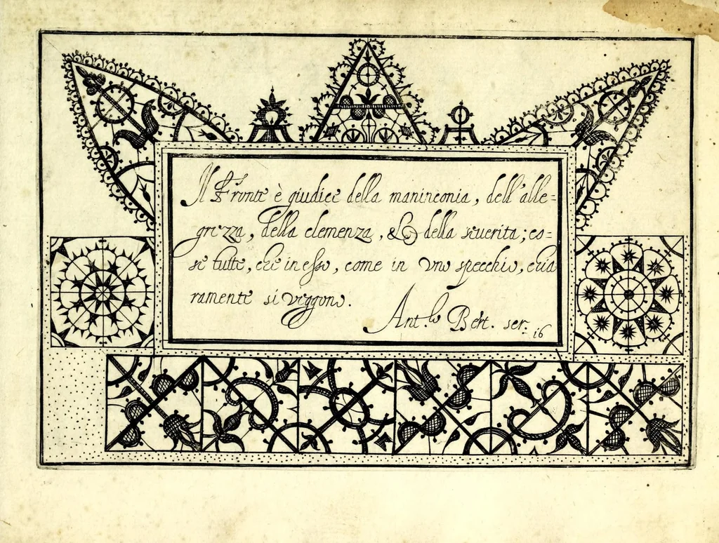 An illustration from Ghirlanda di sei uaghi fiori scielti da piu famosi giardini d'Italia : raccolti, 1604, leaf 37