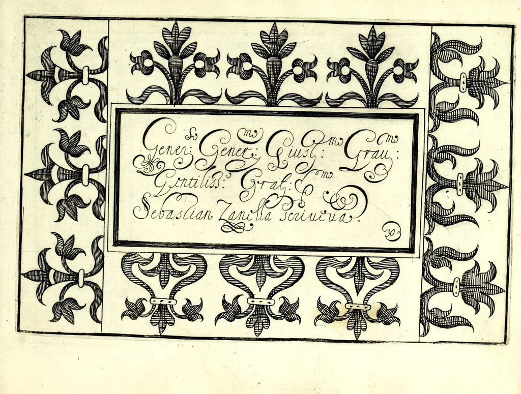 An illustration from Ghirlanda di sei uaghi fiori scielti da piu famosi giardini d'Italia : raccolti, 1604, leaf 65