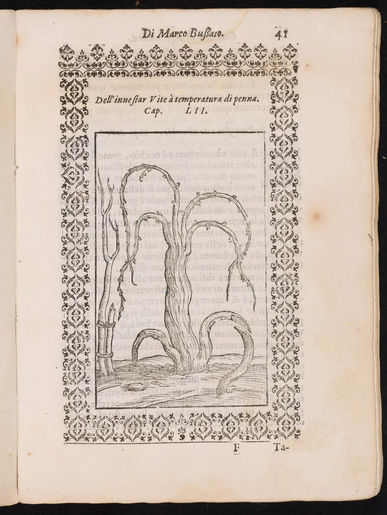 An illustration from Giardino di agricoltura ... : nel quale ... si tratta di tutto quello, che s'appartiene à sapere à un perfetto giardiniero, 1593, leaf 93