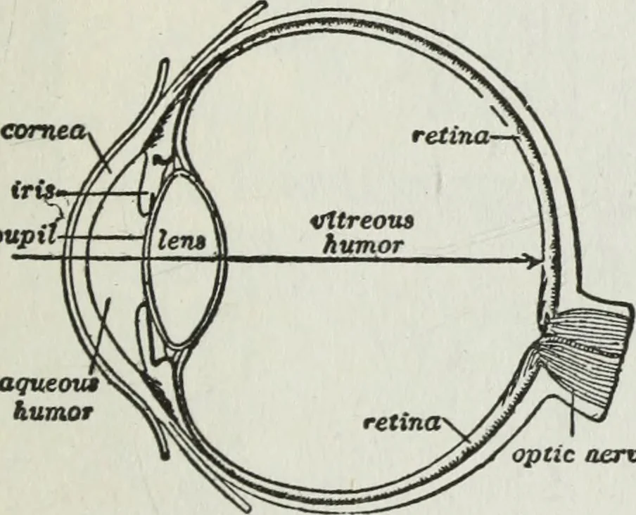 An illustration from Gilbert light experiments for boys, 1920, leaf 126