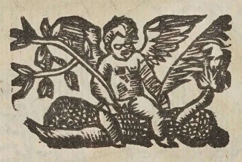 An illustration from Gio. Paolo Gallvcci ... Della fabrica et vso di diversi stromenti di astronomia, et cosmografia, oue si uede la somma della teorica, et pratica di queste due nobilissime scienze, 1598, leaf 316