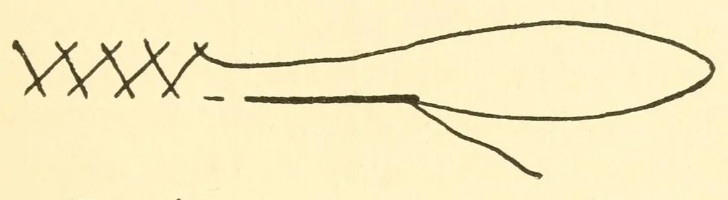 An illustration from Girls' make-at-home things, 1912, leaf 235
