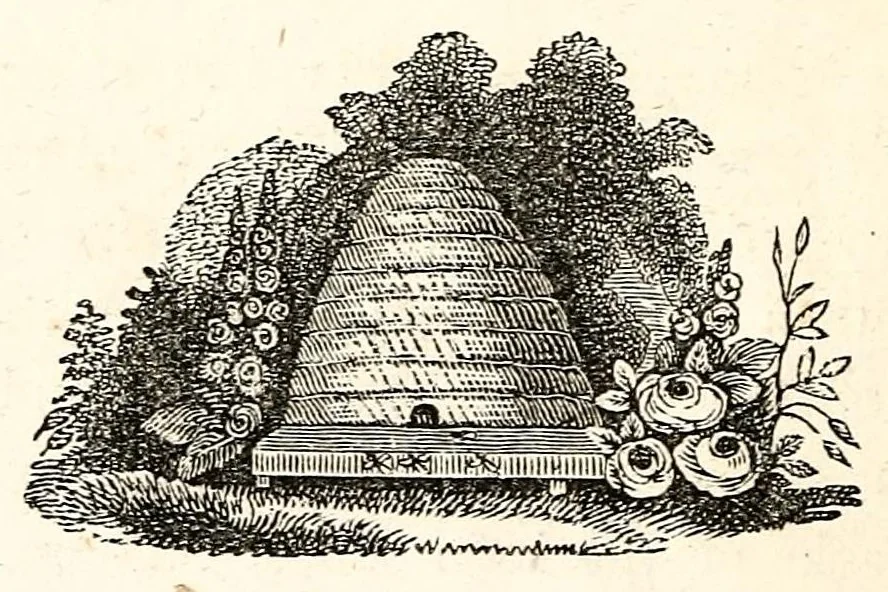 An illustration from The girl's own book, 1833, leaf 244