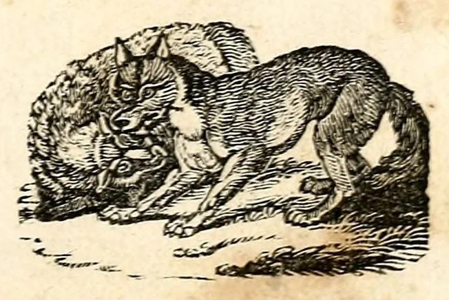 An illustration from The girl's own book, 1833, leaf 55