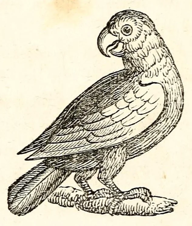 An illustration from The girl's own book, 1833, leaf 96