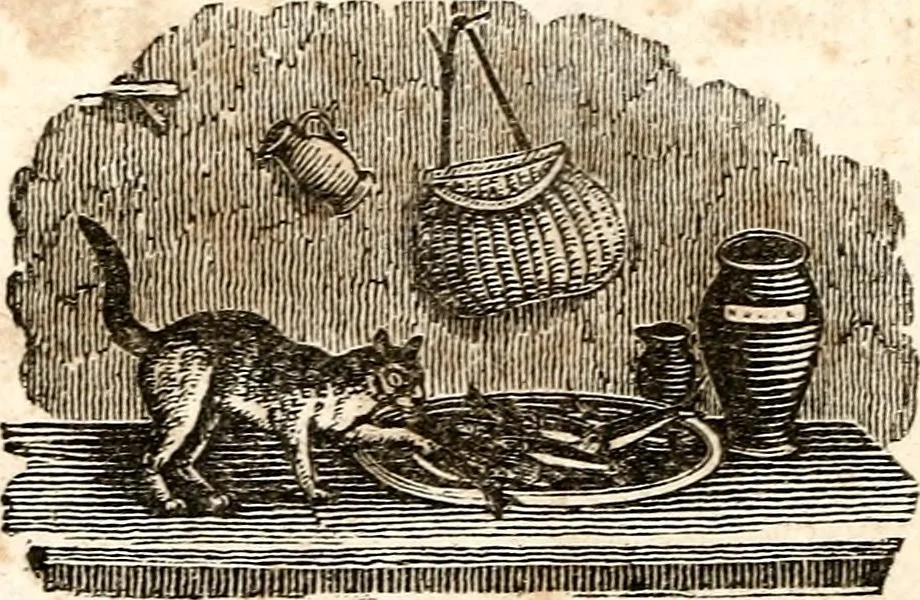 An illustration from The girl's own book, 1833, leaf 103