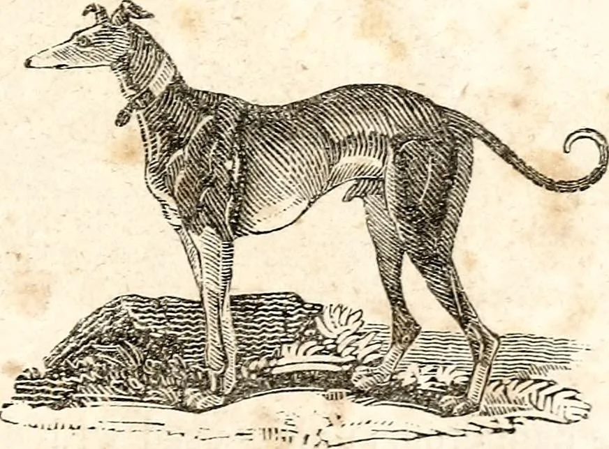 An illustration from The girl's own book, 1833, leaf 106
