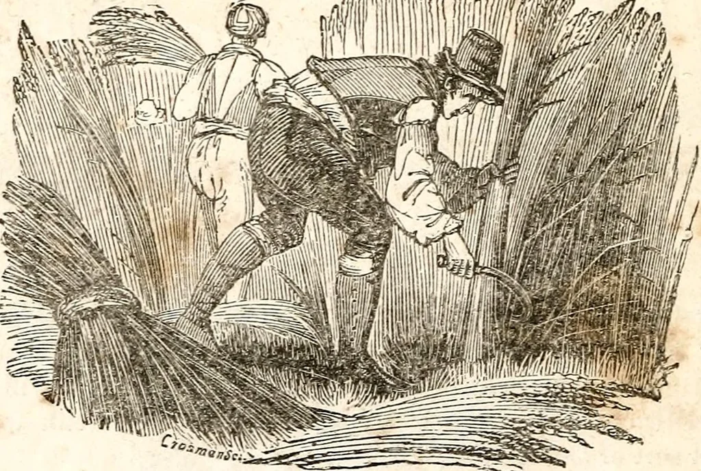 An illustration from The girl's own book, 1833, leaf 111