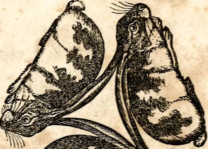 An illustration from The girl's own book, 1833, leaf 168