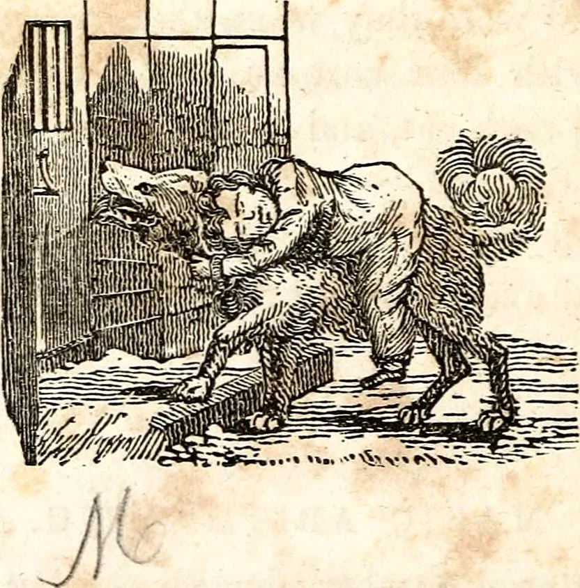 An illustration from The girl's own book, 1833, leaf 191