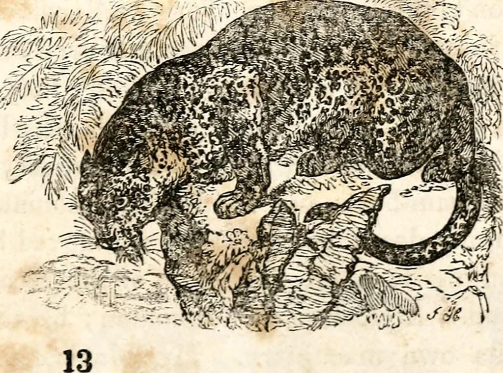 An illustration from The girl's own book, 1833, leaf 198