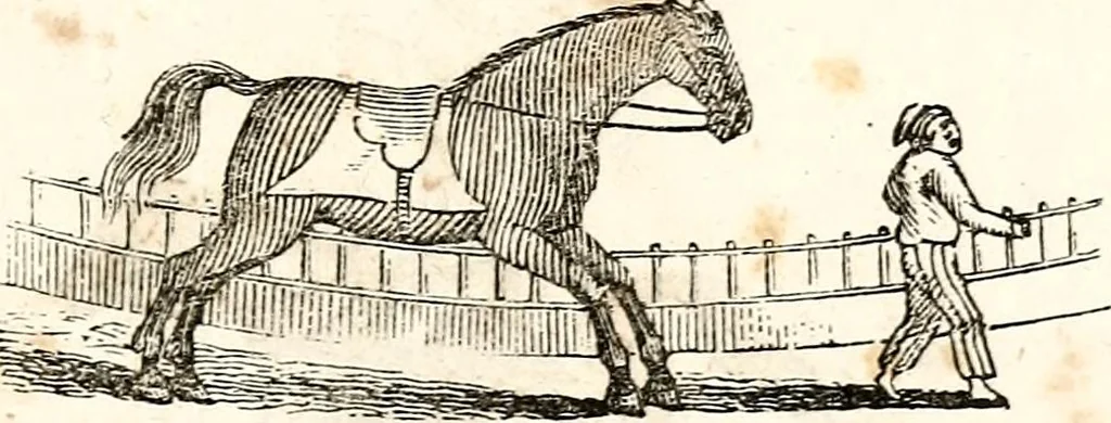 An illustration from The girl's own book, 1833, leaf 202