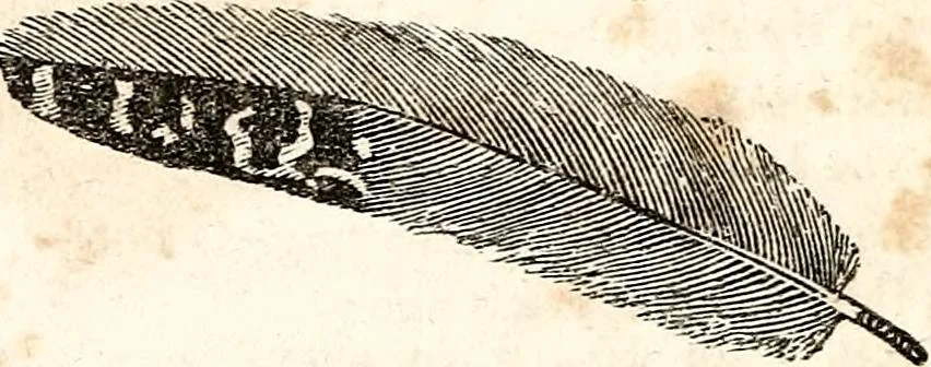 An illustration from The girl's own book, 1833, leaf 207