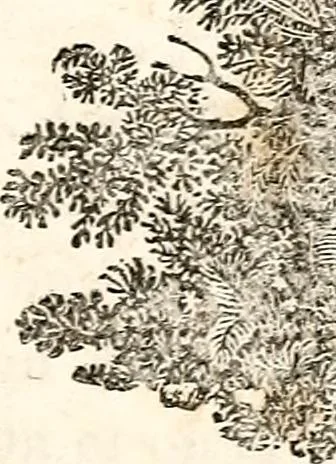 An illustration from The girl's own book, 1833, leaf 234