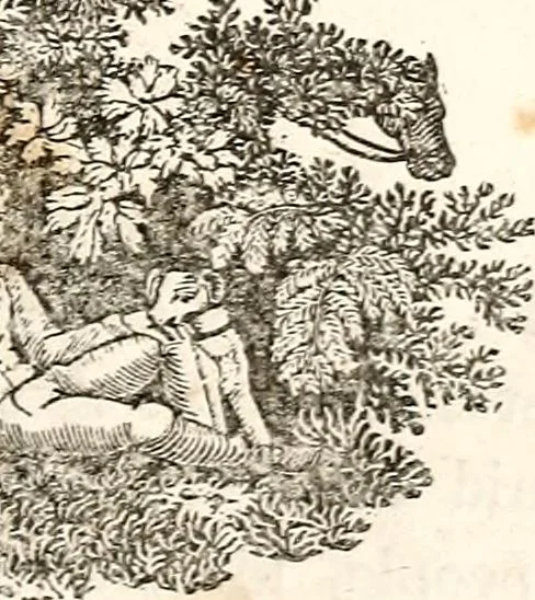 An illustration from The girl's own book, 1833, leaf 234