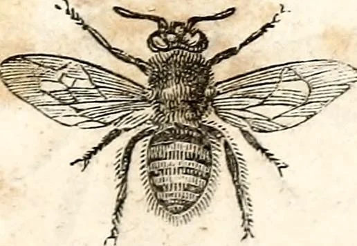 An illustration from The girl's own book, 1833, leaf 236