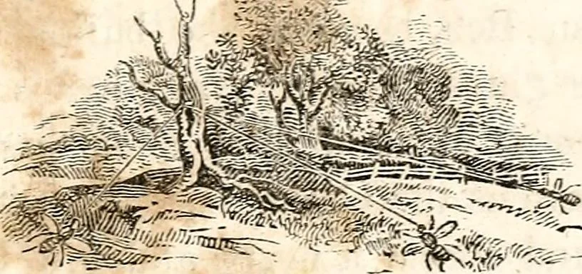 An illustration from The girl's own book, 1833, leaf 240