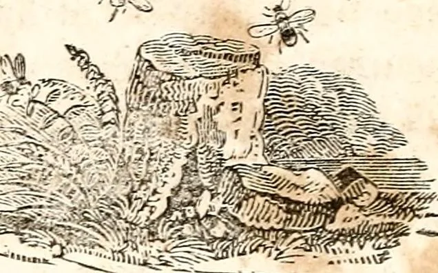 An illustration from The girl's own book, 1833, leaf 241