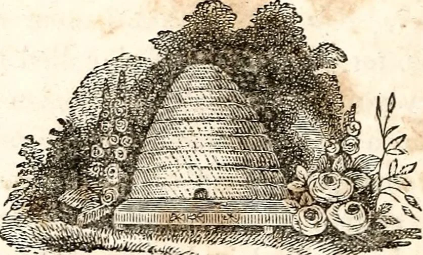 An illustration from The girl's own book, 1833, leaf 243