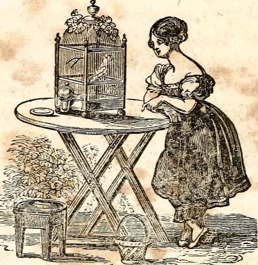 An illustration from The girl's own book, 1833, leaf 249