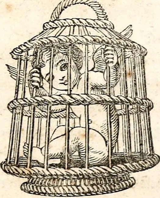 An illustration from The girl's own book, 1833, leaf 250