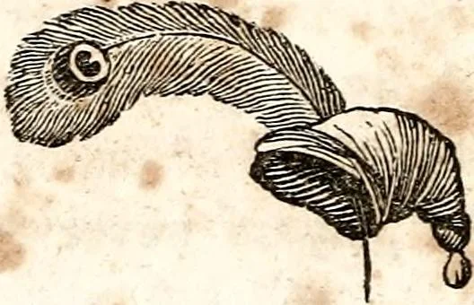 An illustration from The girl's own book, 1833, leaf 41
