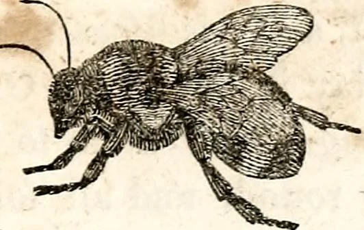 An illustration from The girl's own book, 1833, leaf 44