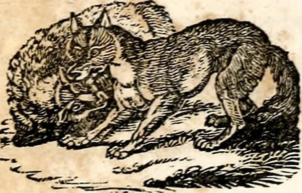 An illustration from The girl's own book, 1833, leaf 54