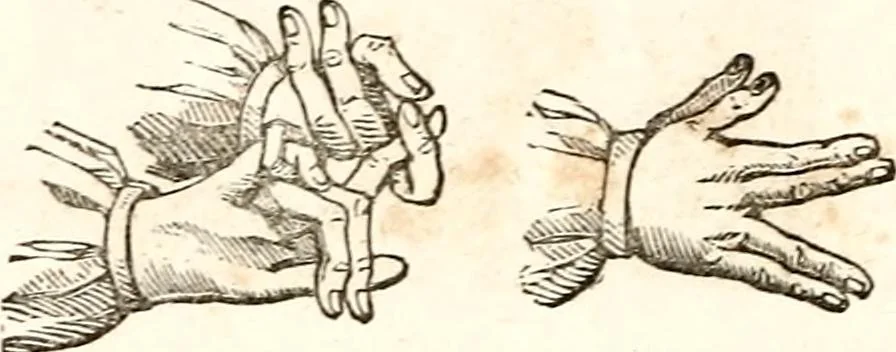 An illustration from The girl's own book, 1833, leaf 75