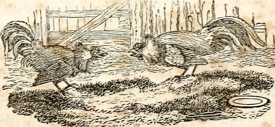 An illustration from The girl's own book, 1833, leaf 82