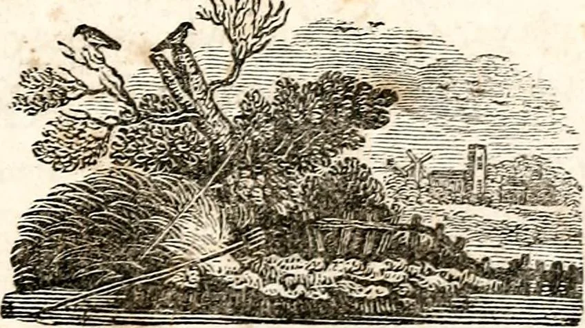 An illustration from The girl's own book, 1833, leaf 88